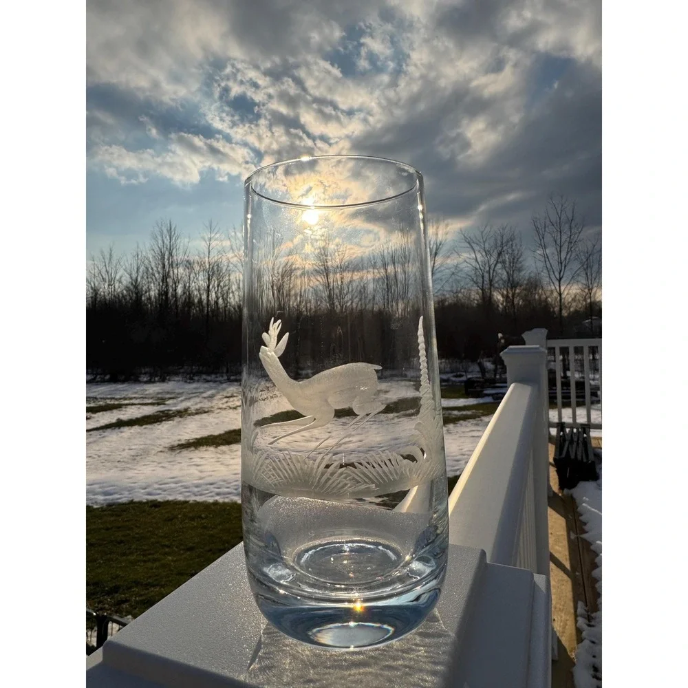 VTG E&AB Kristallglas Germany Wildlife Crystal Highball Set 6 Etched EUC RARE!